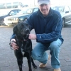 Paul, rescue run transporting Monty to his new home